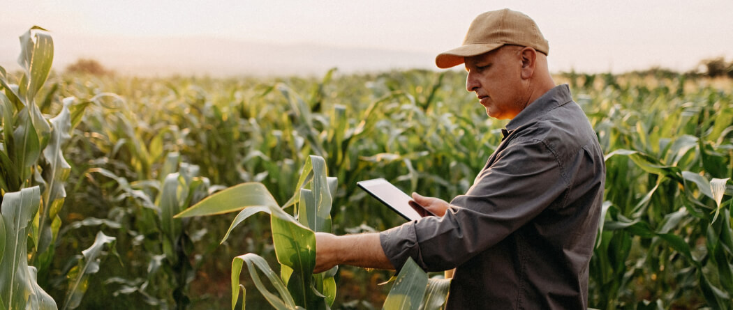 farmer in field